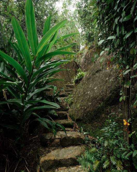 Rochas Floridas Guest House / WaCa Design + Julia Kosciuk - Exterior Photography, Forest