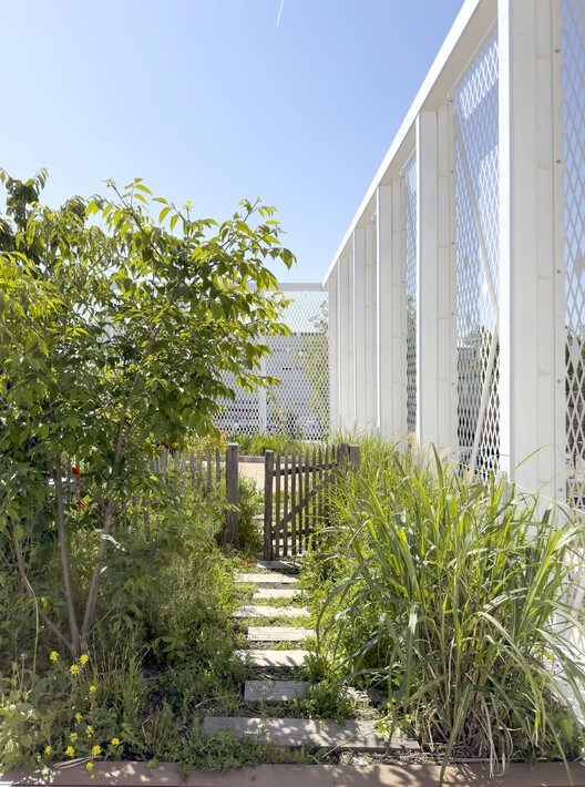 Borny Socio-Educational Center / ABC Studio - Exterior Photography, Garden