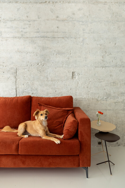 Apartamento Copan A / Balaio Arquitetura - Fotografia de Interiores, Sala de Estar, Sofá