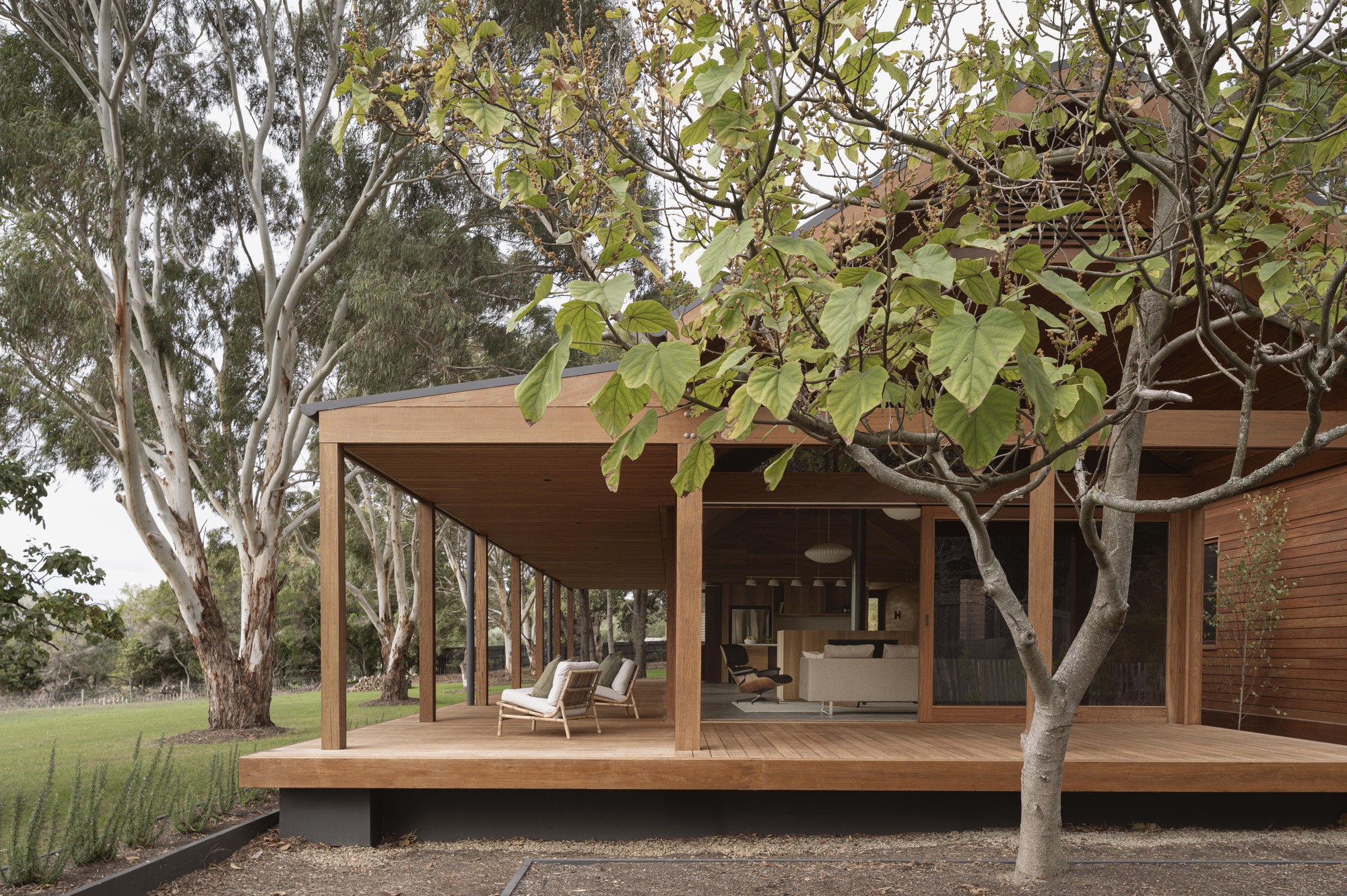 Gallery of Main Ridge House / Porebski Architects - 4