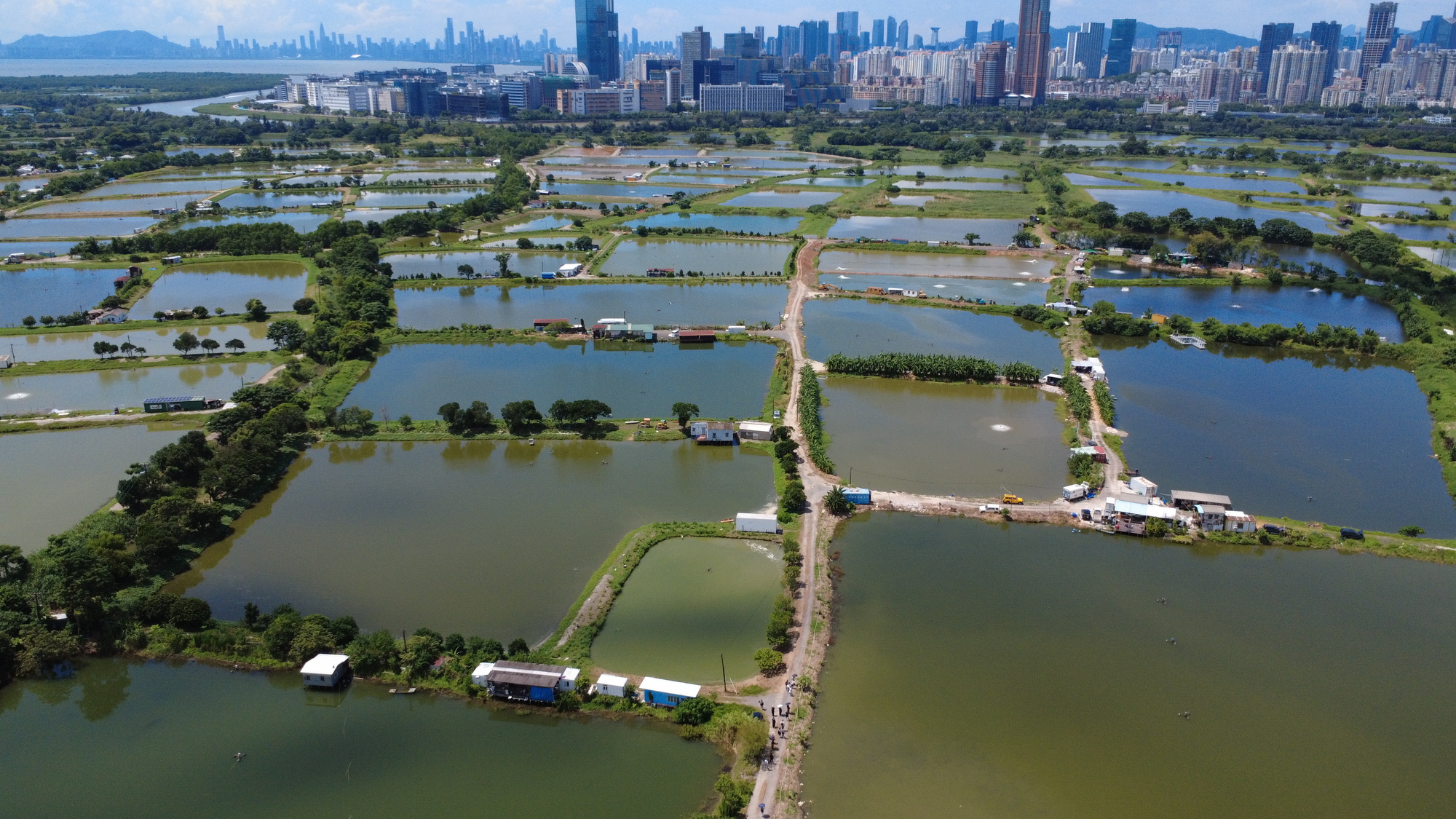 The Environmental Impact of AI Development in Hong Kong's Borderlands