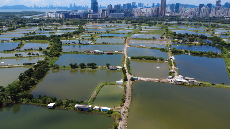 From Cloud to Coast: The Physical Cost of AI in Hong Kong’s Borderlands - Featured Image