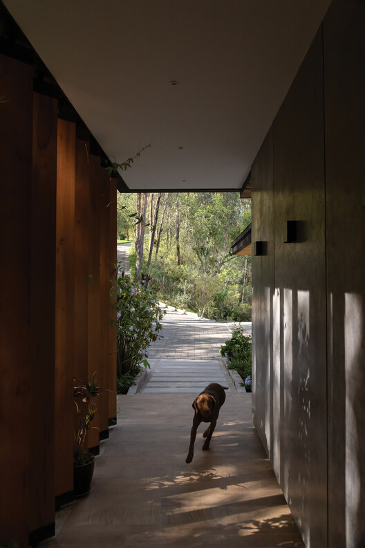 Casa 29 / estudio29 - Interior Photography, Wood, Concrete