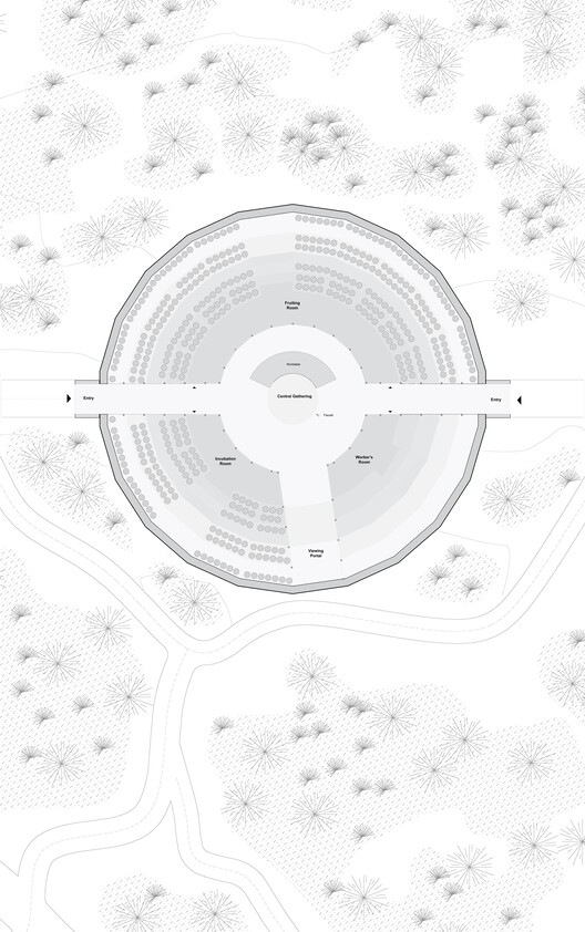 Casa Wabi Mushroom Pavilion / OMA - Image 17 of 23