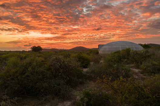 Casa Wabi Mushroom Pavilion / OMA - Image 15 of 23