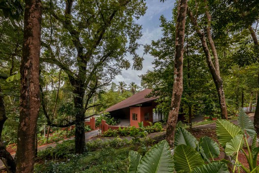 Soil Stories Pavilion / Magicline Studio - Exterior Photography, Forest, Garden