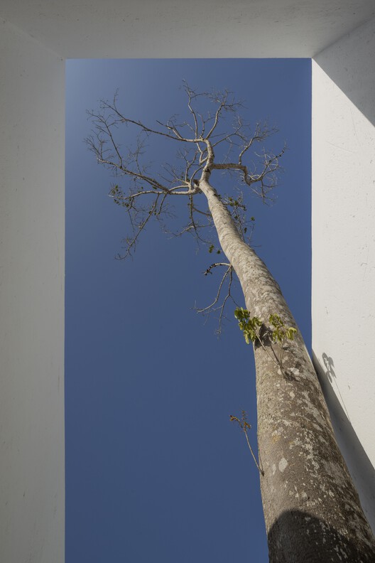 Casa Branca / NEBR arquitetura - Image 11 of 34