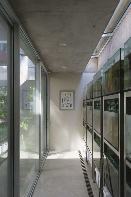 Eucalyptus House / Julia Yako + Laura Marino - Interior Photography, Glass