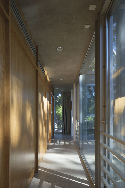 Eucalyptus House / Julia Yako + Laura Marino - Image 5 of 24