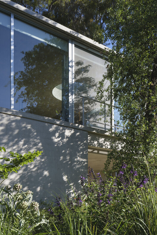 Eucalyptus House / Julia Yako + Laura Marino - Image 15 of 24