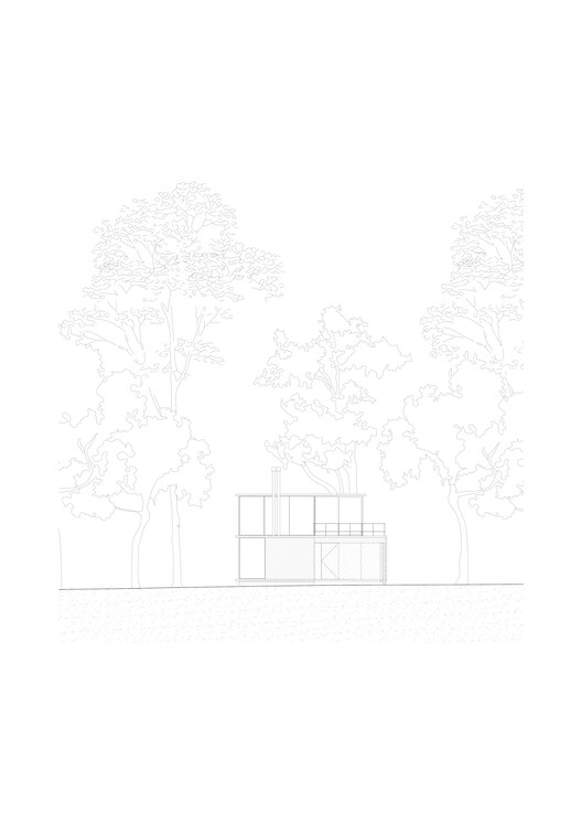 Eucalyptus House / Julia Yako + Laura Marino - Image 22 of 24