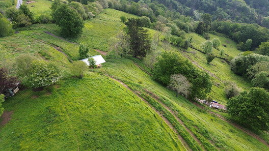 Taller Agropoetico - Foresta Collective / Atelier Poem - Image 23 of 30