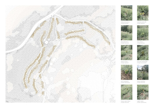 Taller Agropoetico - Foresta Collective / Atelier Poem - Image 26 of 30