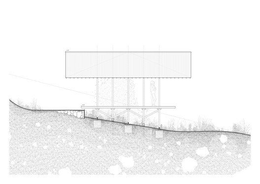 Taller Agropoetico - Foresta Collective / Atelier Poem - Image 30 of 30