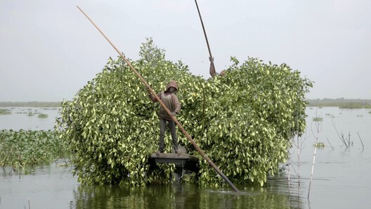 Choreographing Lagos: Dele Adeyemo on Dance, Cosmology, and Spatial Practices - Image 4 of 22