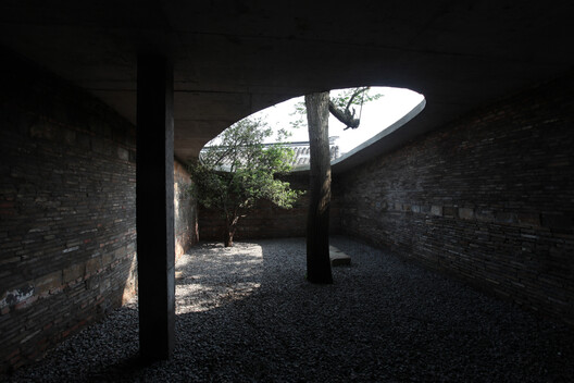 Building with Trees: Rethinking Architecture’s Relationship to Site - Image 12 of 13