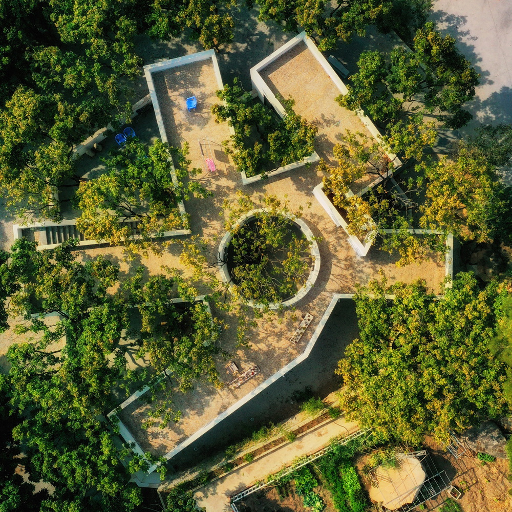 Building with Trees: Rethinking Architecture’s Relationship to Site | ArchDaily