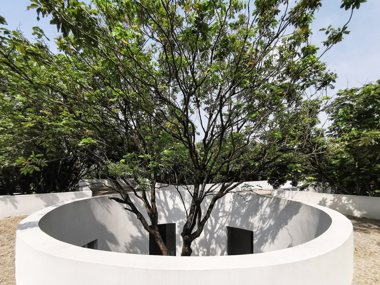 Tree Wrapped Around Building Gallery of Building with Trees: Rethinking Architecture’s Relationship ...