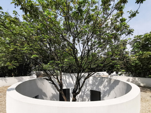Building with Trees: Rethinking Architecture’s Relationship to Site - Image 13 of 13