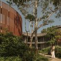Building with Trees: Rethinking Architecture’s Relationship to Site - Image 4 of 4