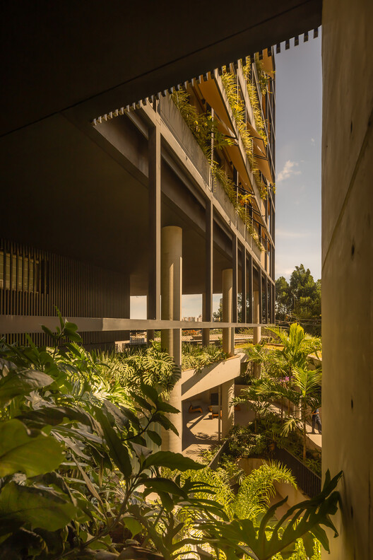 Pascoal Vita Building / Bernardes Arquitetura - Image 11 of 24