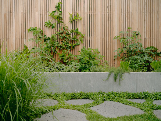 Fitzroy North Terrace / Field Office Architecture - Exterior Photography, Garden