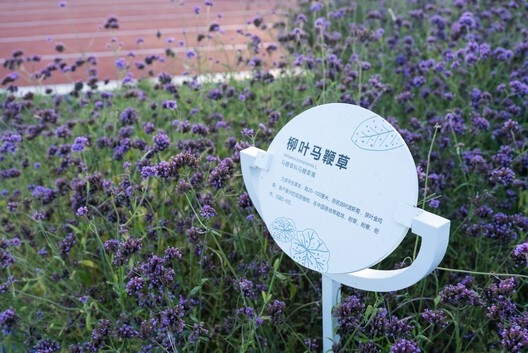 Beijing Haidian Xiaojiahe Green Dynamic World / DDON - Image 22 of 27