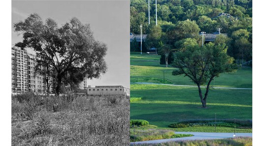 Beijing Haidian Xiaojiahe Green Dynamic World / DDON - Image 16 of 27