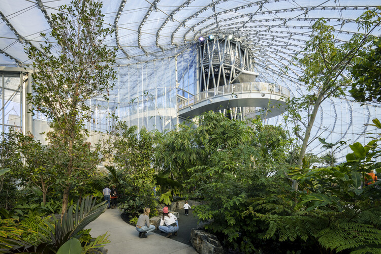 阿西尼博因公园温室花园 / KPMB Architects + Architecture49 - 8 的图像 12
