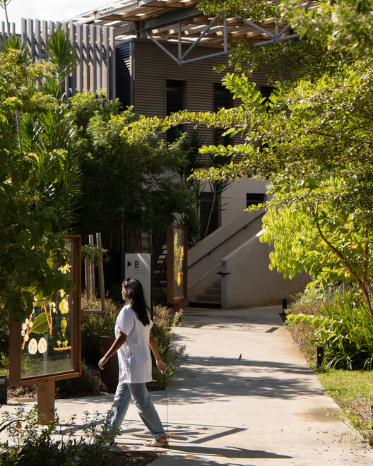 Health Sciences Faculty – University of La Réunion  / TT Architecture - Exterior Photography, Garden, Courtyard