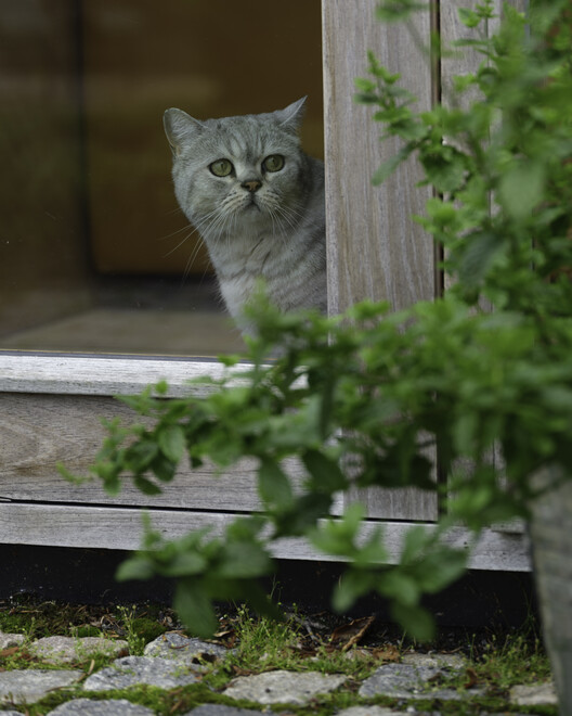Kiellandsstien Residence / Hoem + Folstad Arkitekter - Exterior Photography
