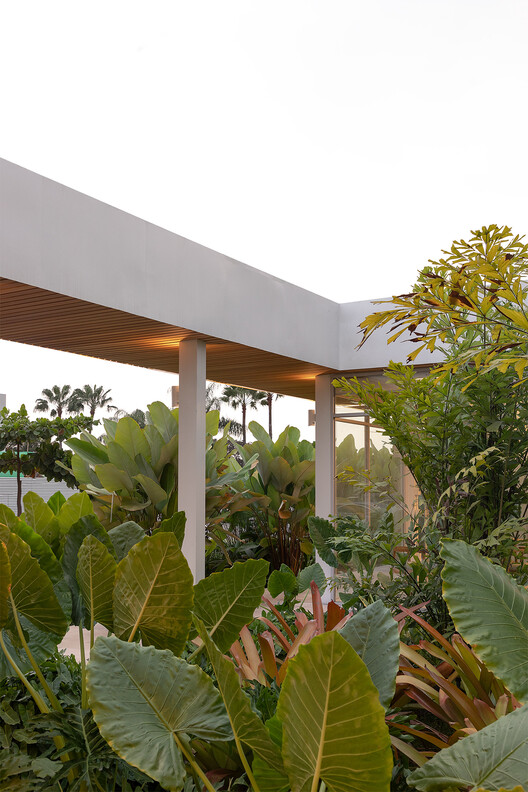 Mocolí Sports Complex / URLO Studio - Image 11 of 17