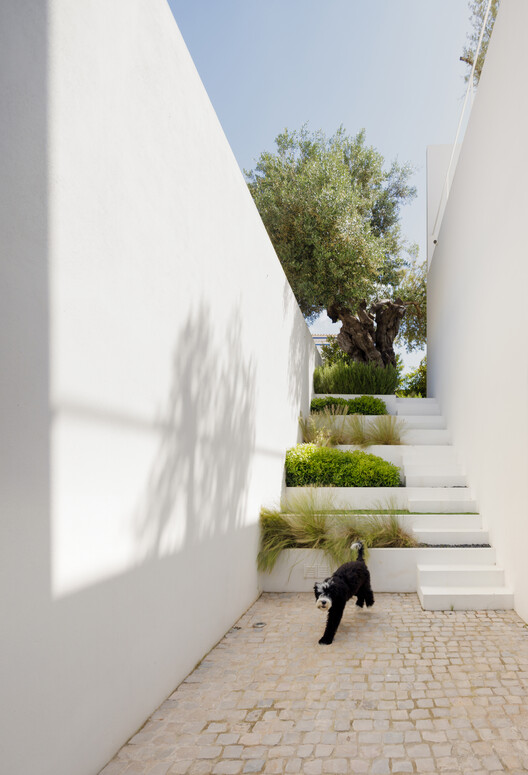 PCG House / Visioarq Arquitectos - Interior Photography, Concrete, Garden, Stairs, Courtyard