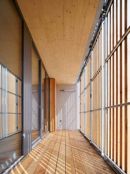 Zdar Wooden Housing / Kuba & Pilar architekti - Image 11 of 30