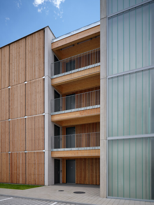 Zdar Wooden Housing / Kuba & Pilar architekti - Image 16 of 30