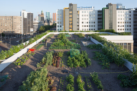 No Solid Ground: Three Approaches to Building Below Sea Level in Rotterdam No Solid Ground: Three Approaches to Building Below Sea Level in Rotterdam - Image 52 of 70