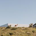 Carrickalinga Shed / Architects Ink - Exterior Photography, Houses