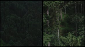 Kengo Kuma & Associates Present Site-Specific Installation “Earth | Tree” at Copenhagen Contemporary - Image 18 of 18