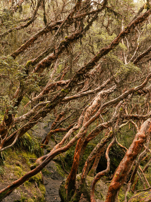 40+ Contemporary Architectural Works Across Ecuador Captured by Francesco Russo and Luca Piffaretti 40+ Contemporary Architectural Works Across Ecuador Captured by Francesco Russo and Luca Piffaretti - Image 28 of 40