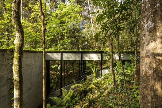 House 17-JB / Luiz Volpato Arquitetura - Exterior Photography, Wood, Forest