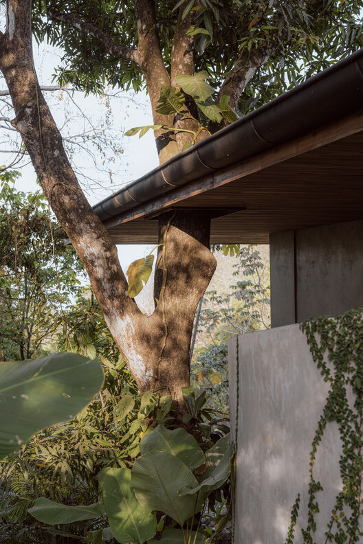 Casa Bersatu / Estudio D3B - Imagen 26 de 29