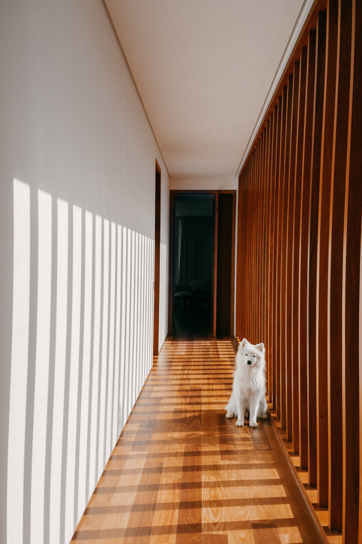 GLG Residence / Ximenes Leite Arquitetura - Interior Photography, Wood