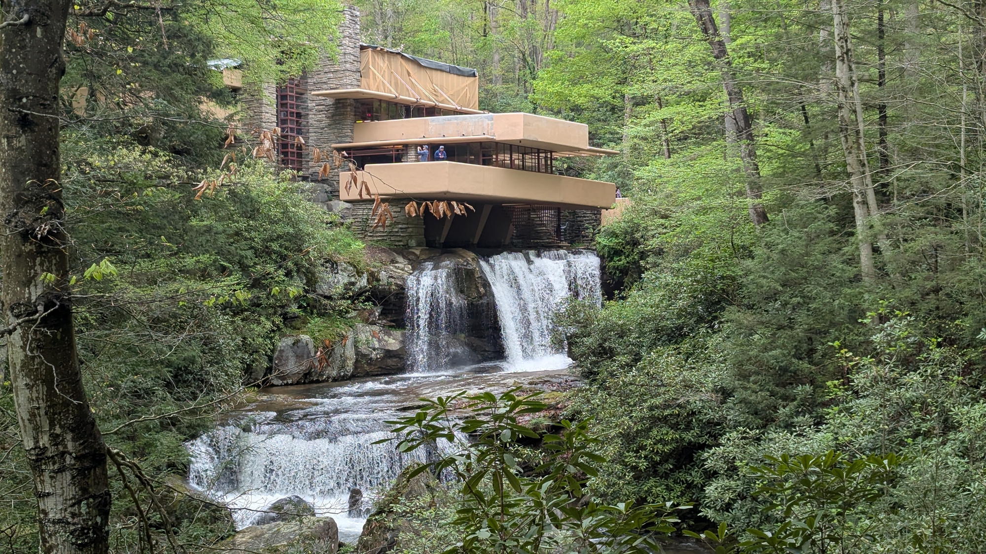 Frank Lloyd Wright's Fallingwater Restoration and Salone del Mobile.Milano 2026: This Week's Review