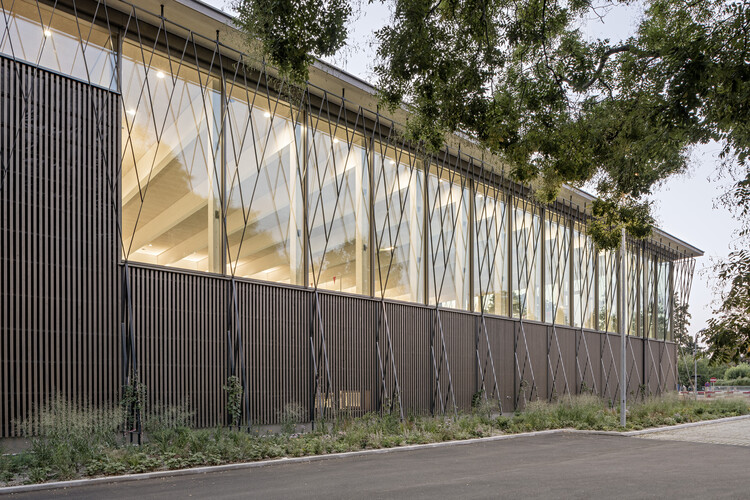 Piscina Pública Großfeldsiedlung / Illiz Architektur - Mais Imagens