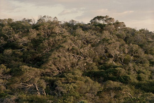 Wildcoast House / Pandolfini Architects Wildcoast House / Pandolfini Architects - Image 30 of 34