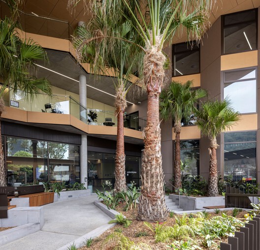 Gosford Regional Library / Lahznimmo Architects - Interior Photography
