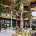 Gosford Regional Library / Lahznimmo Architects - Interior Photography, Library, Balcony
