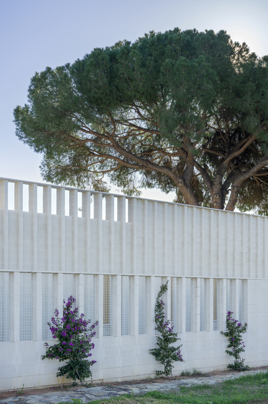 House J / SV60 Arquitectos - Exterior Photography, Garden, Concrete