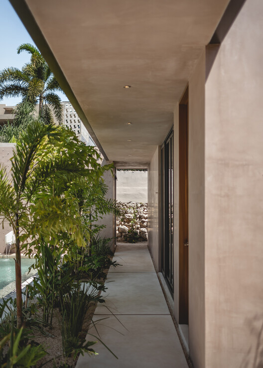 BJ House / Nauzet Rodríguez - Image 11 of 16