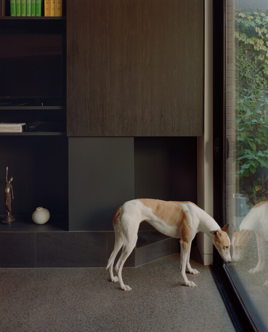 Burnley House / Sonelo Architects - Interior Photography